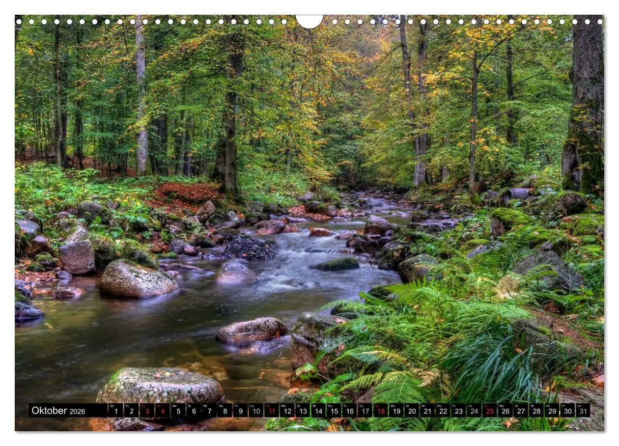 Bild: 9783516183993 | Harz Landschaften (Wandkalender 2026 DIN A3 quer), CALVENDO...