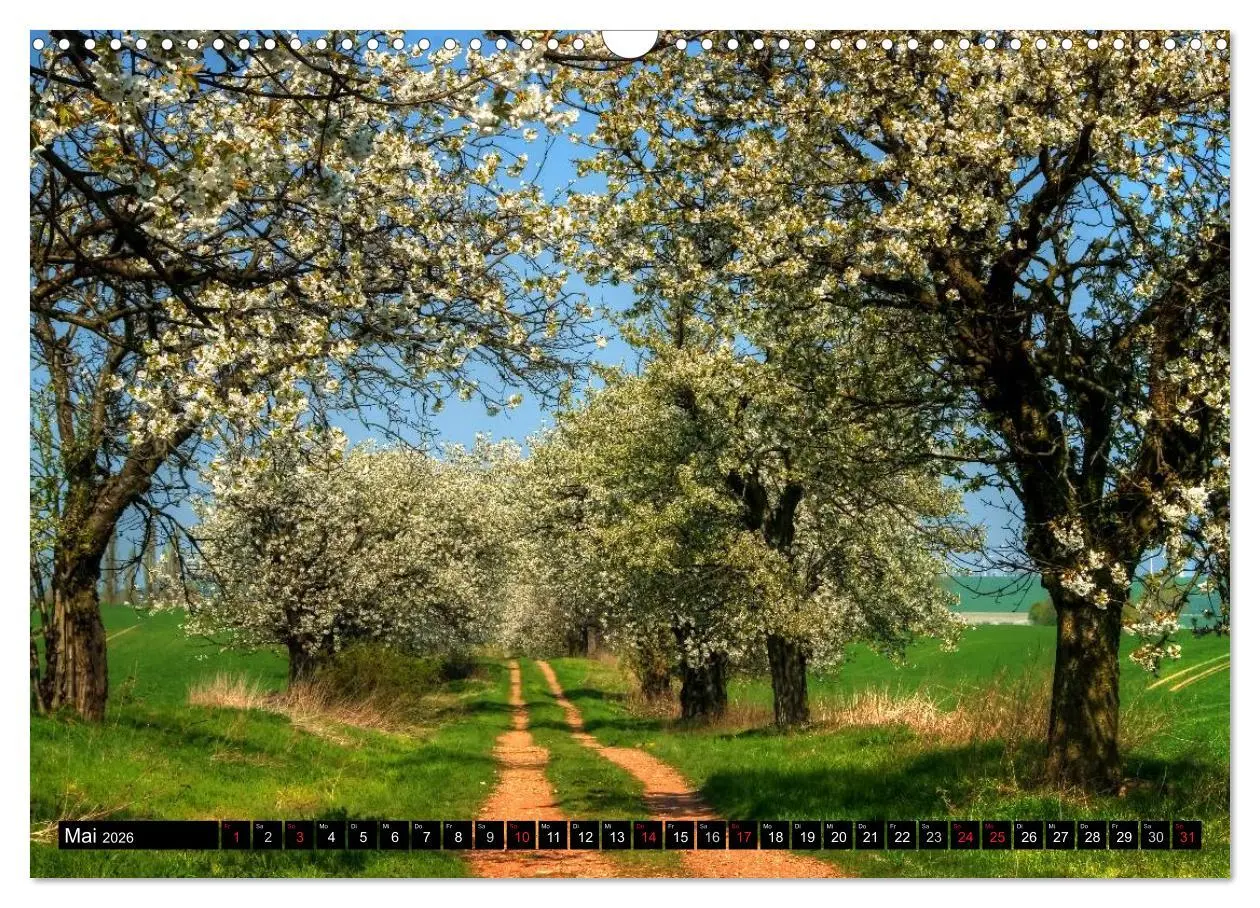 Bild: 9783516183993 | Harz Landschaften (Wandkalender 2026 DIN A3 quer), CALVENDO...