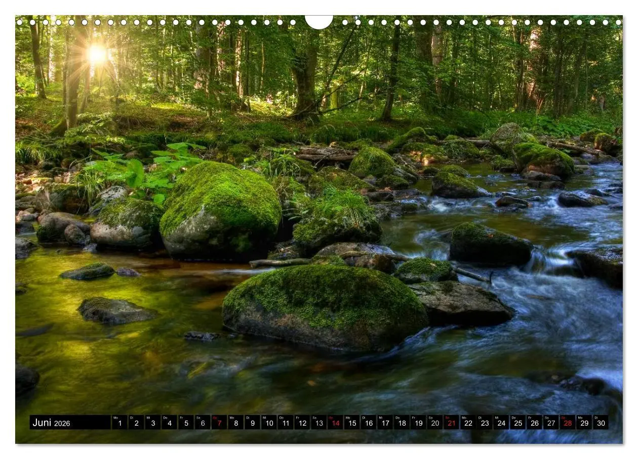 Bild: 9783516183993 | Harz Landschaften (Wandkalender 2026 DIN A3 quer), CALVENDO...