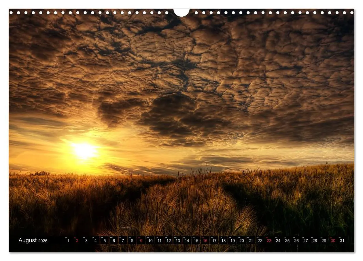 Bild: 9783516183993 | Harz Landschaften (Wandkalender 2026 DIN A3 quer), CALVENDO...