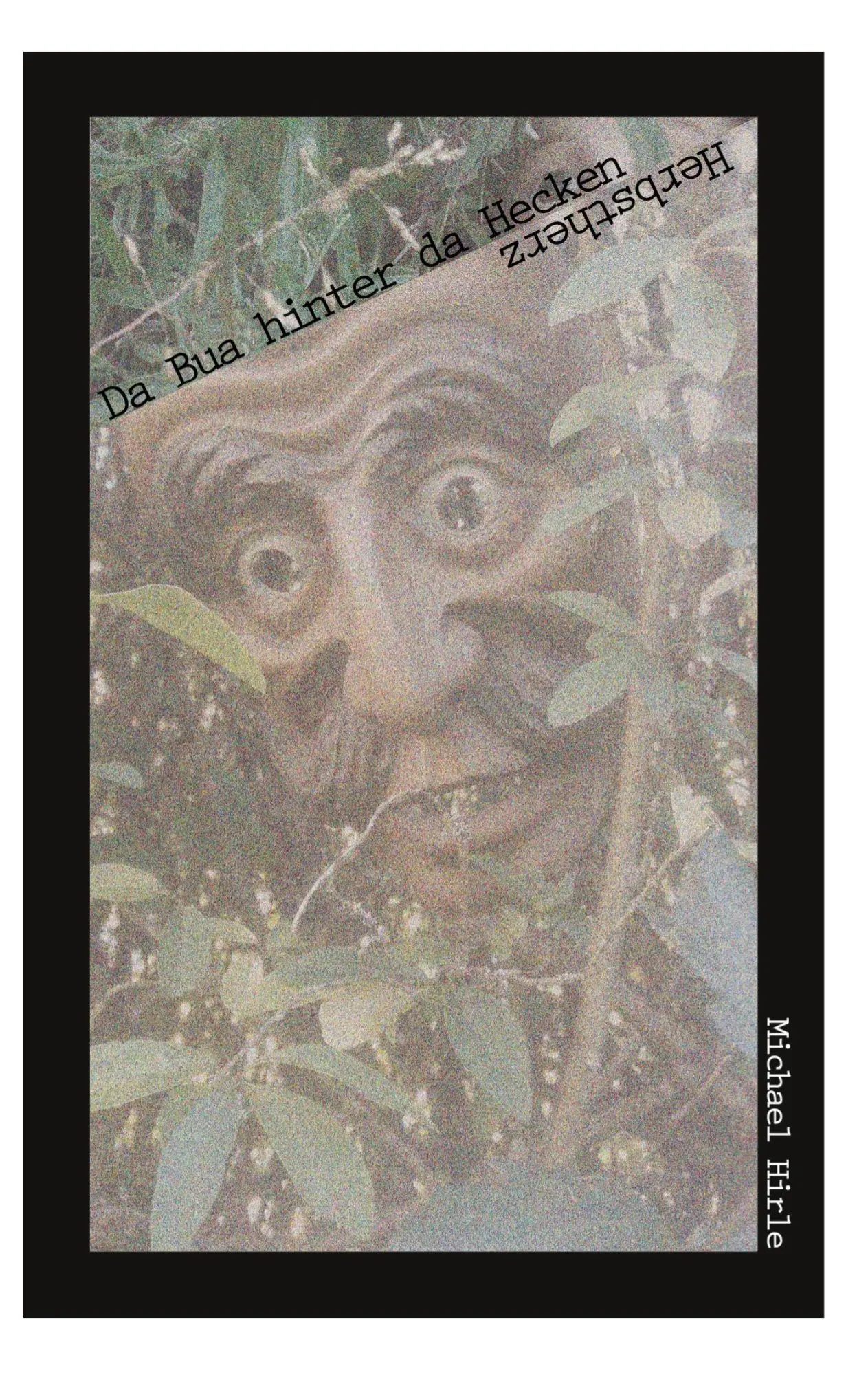 Cover: 9783695104093 | Da Bua hinter da Hecken | Herbstherz | Michael Hirle | Taschenbuch