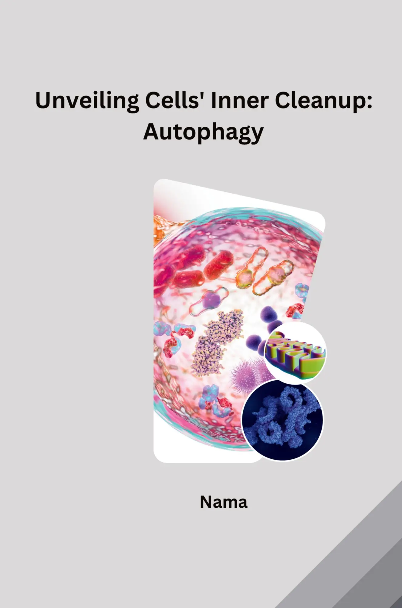Unveiling Cells Inner Cleanup Autophagy - Nama Kartoniert (TB)