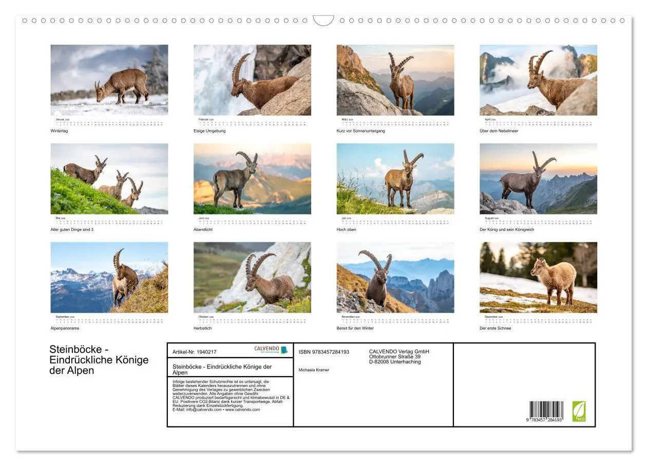 Bild: 9783457284193 | Steinböcke - Eindrückliche Könige der Alpen (Wandkalender 2026 DIN...