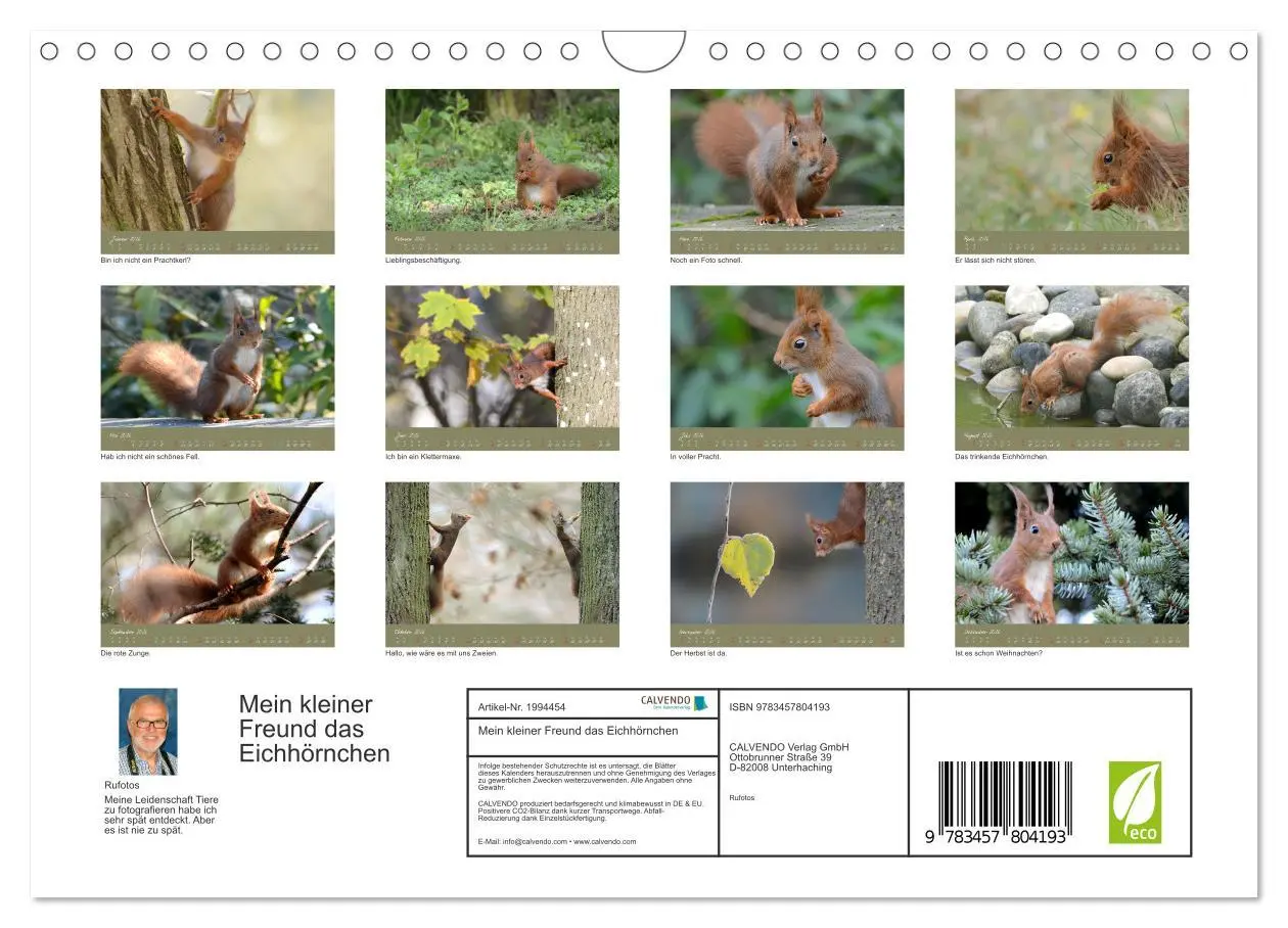 Bild: 9783457804193 | Mein kleiner Freund das Eichhörnchen (Wandkalender 2026 DIN A4...