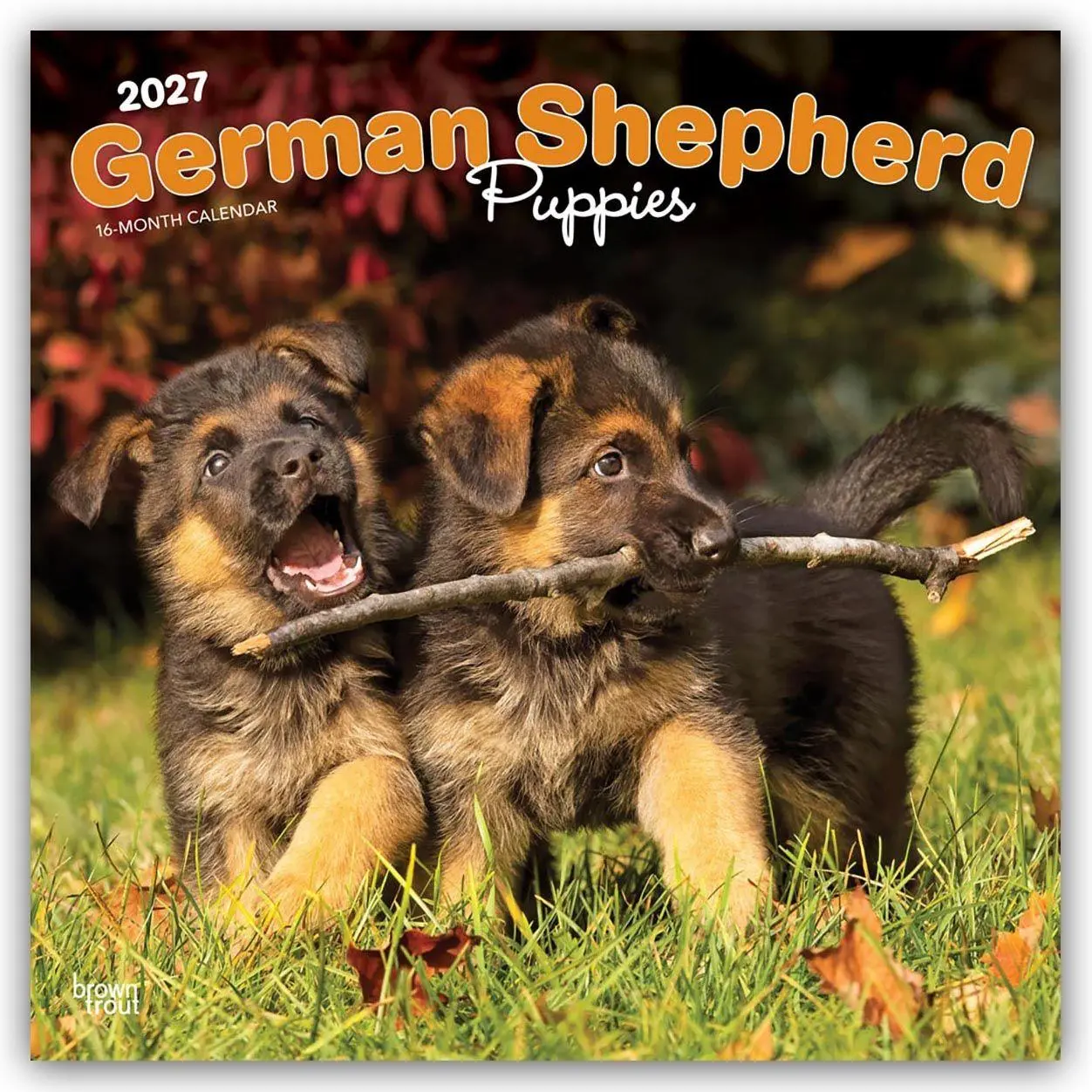 Cover: 9798330714193 | German Shepherd Puppies - Deutsche Schäferhund Welpen 2027 -...