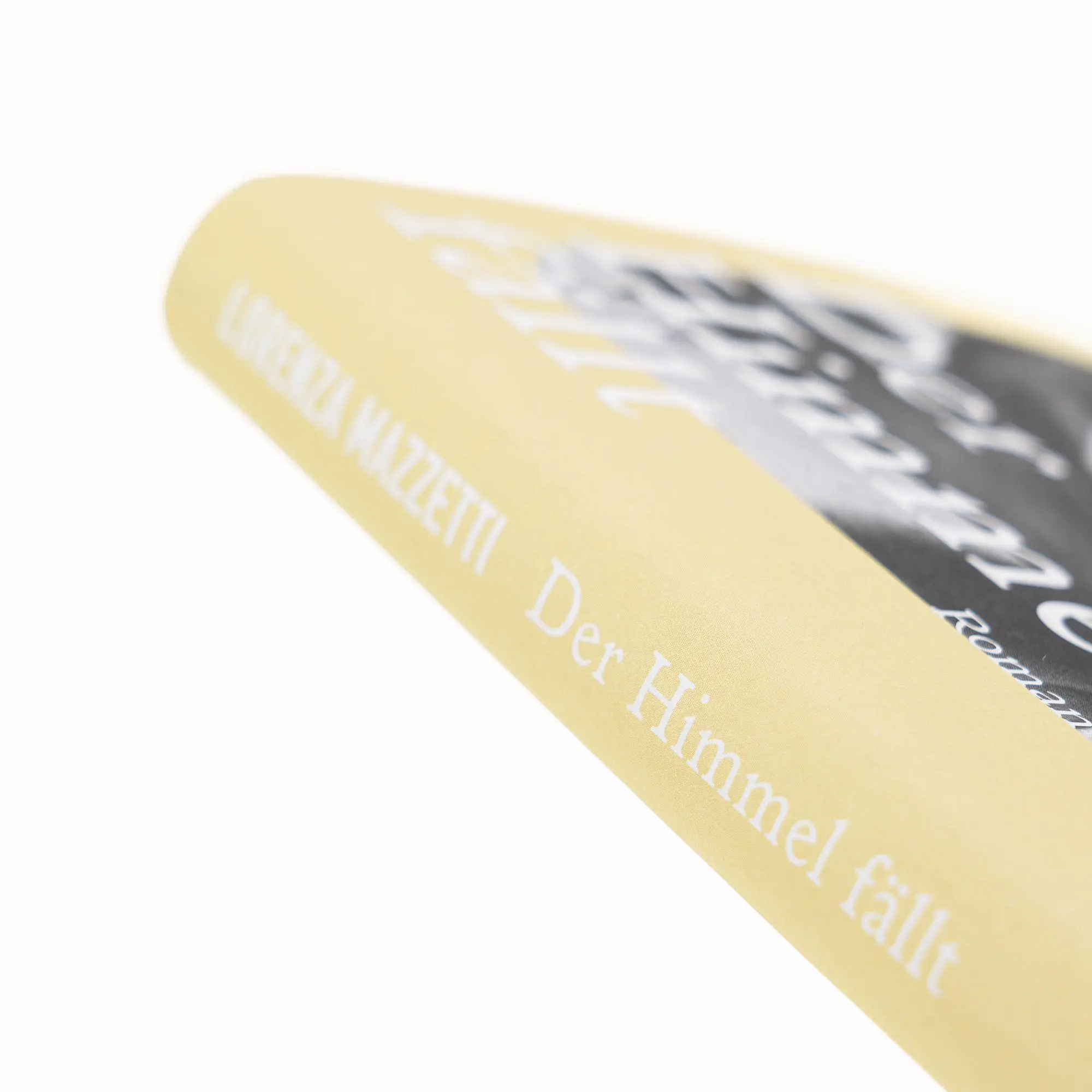 Bild: 9783312014293 | Der Himmel fällt | Lorenza Mazzetti | Buch | 192 S. | Deutsch | 2025