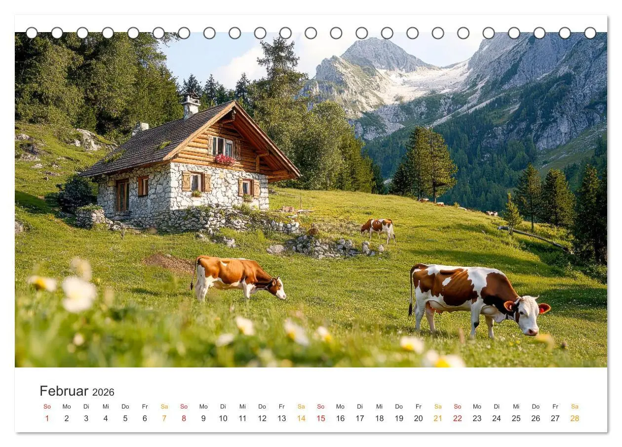 Bild: 9783457274293 | Glückliche Bergkühe - Leben auf der Alm (Tischkalender 2026 DIN A5...