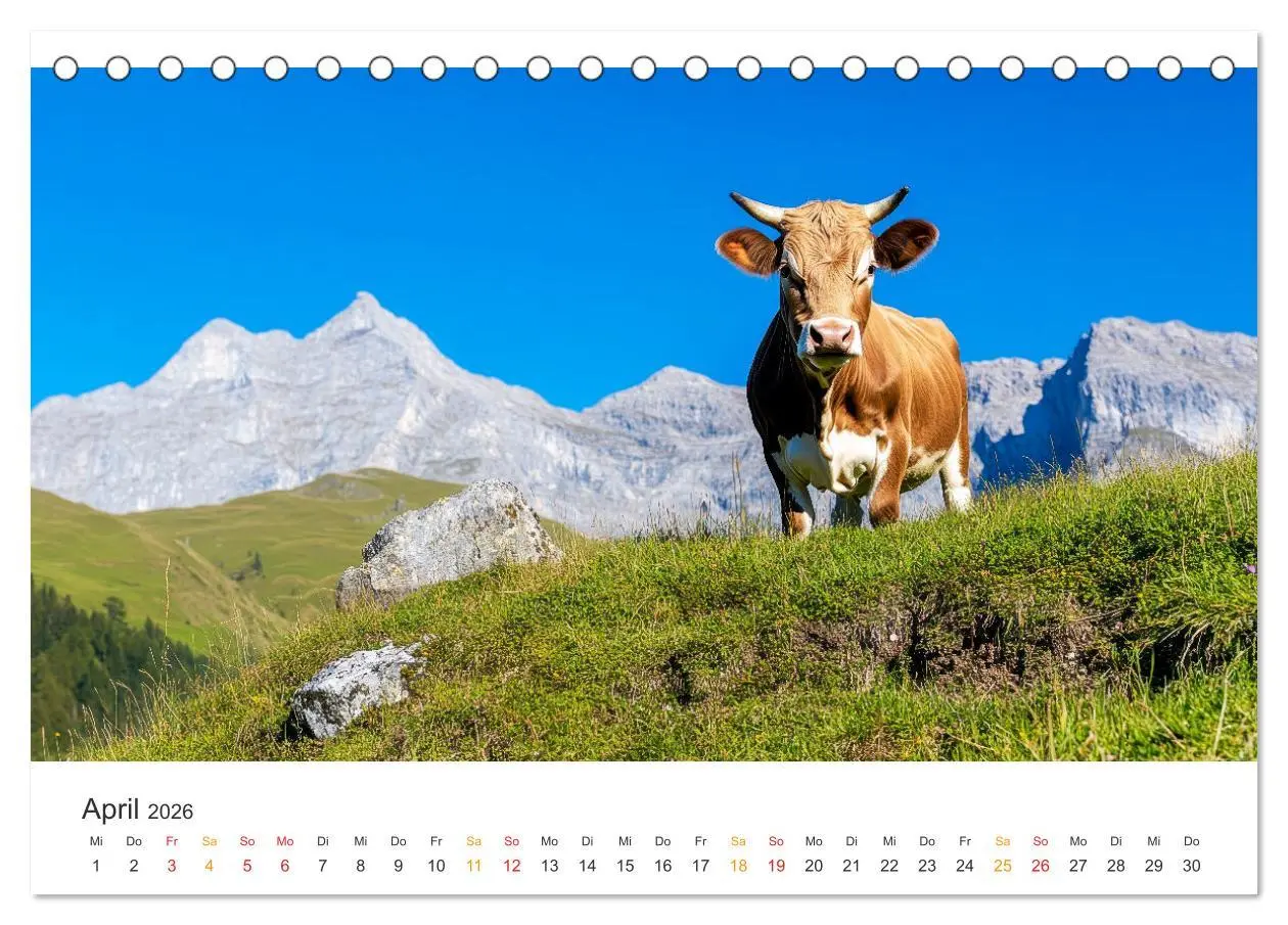 Bild: 9783457274293 | Glückliche Bergkühe - Leben auf der Alm (Tischkalender 2026 DIN A5...