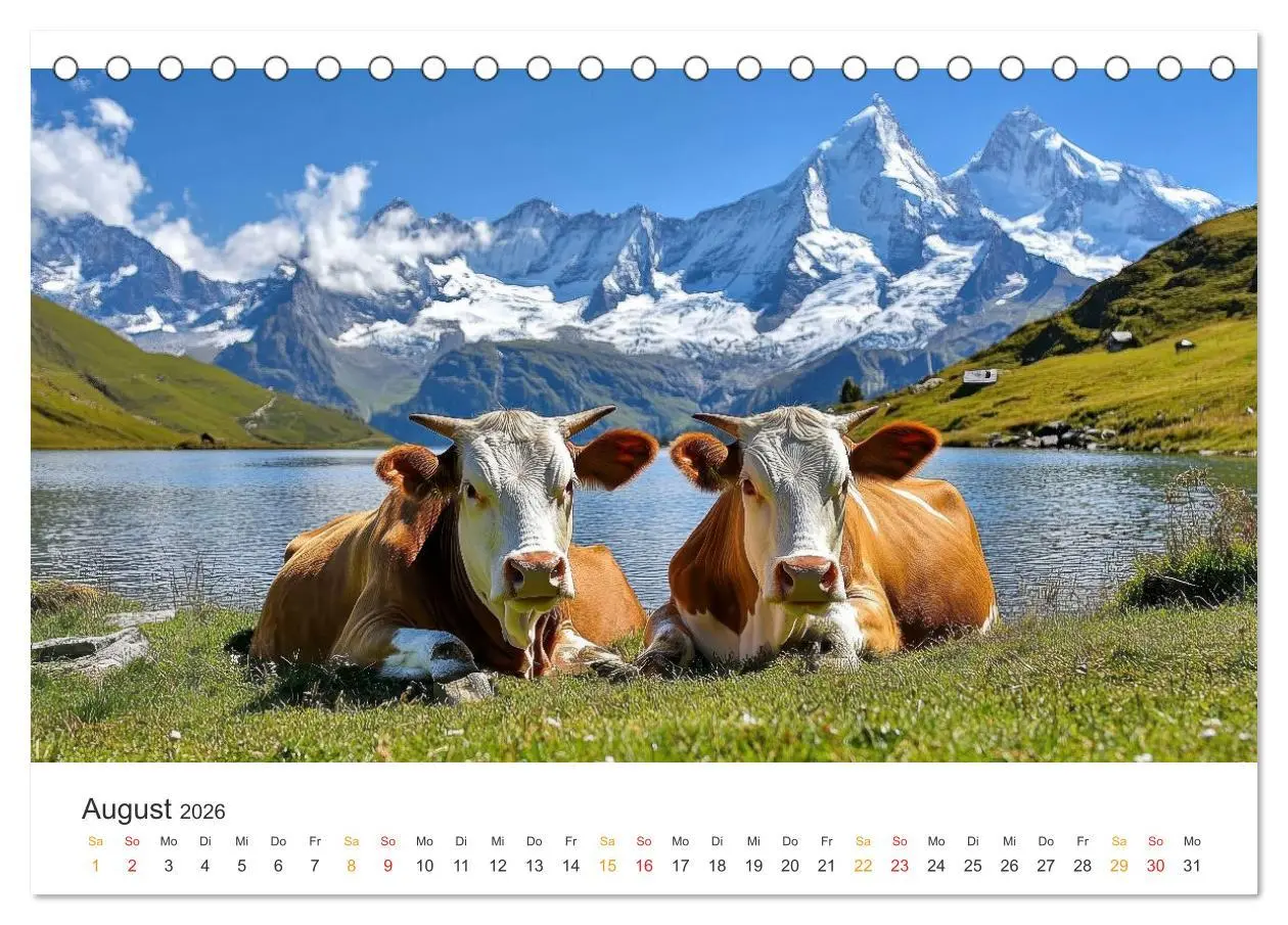 Bild: 9783457274293 | Glückliche Bergkühe - Leben auf der Alm (Tischkalender 2026 DIN A5...