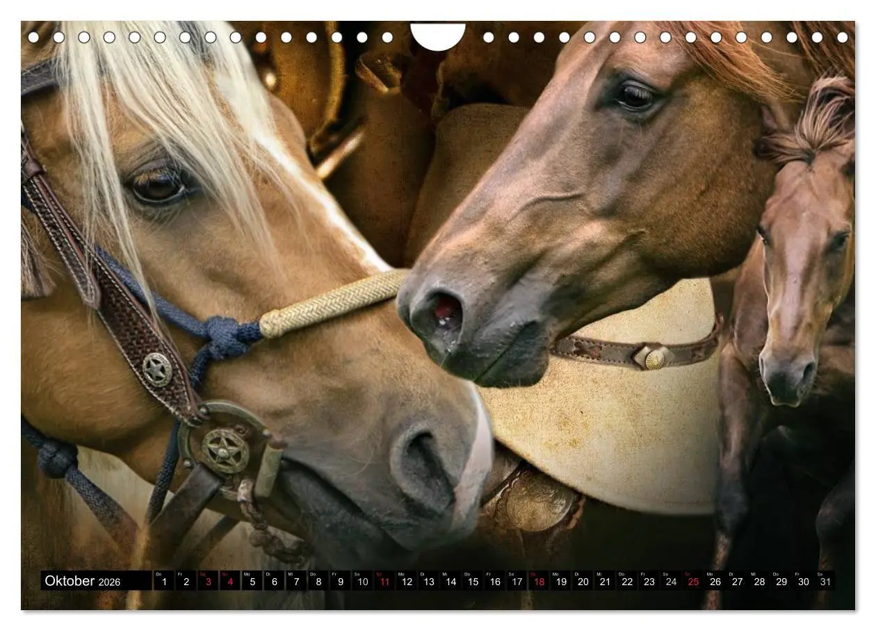 Bild: 9783457964293 | Western-Feeling (Wandkalender 2026 DIN A4 quer), CALVENDO...