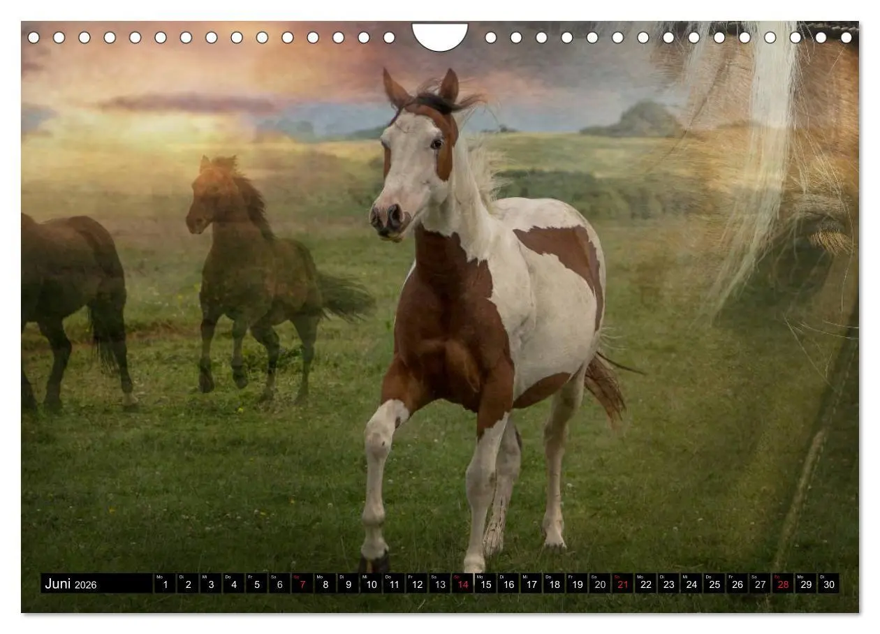 Bild: 9783457964293 | Western-Feeling (Wandkalender 2026 DIN A4 quer), CALVENDO...