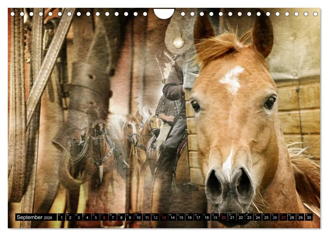 Bild: 9783457964293 | Western-Feeling (Wandkalender 2026 DIN A4 quer), CALVENDO...