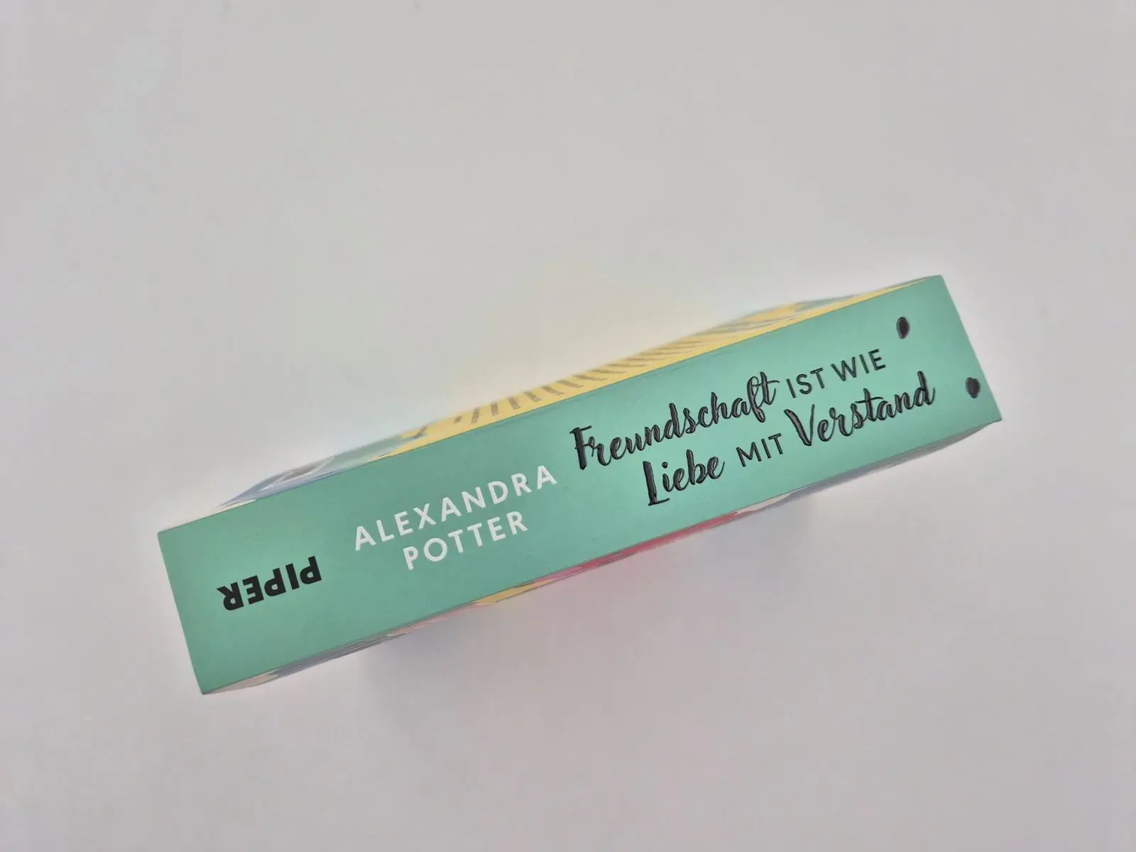 Bild: 9783492064293 | Freundschaft ist wie Liebe mit Verstand  | Alexandra Potter | Buch