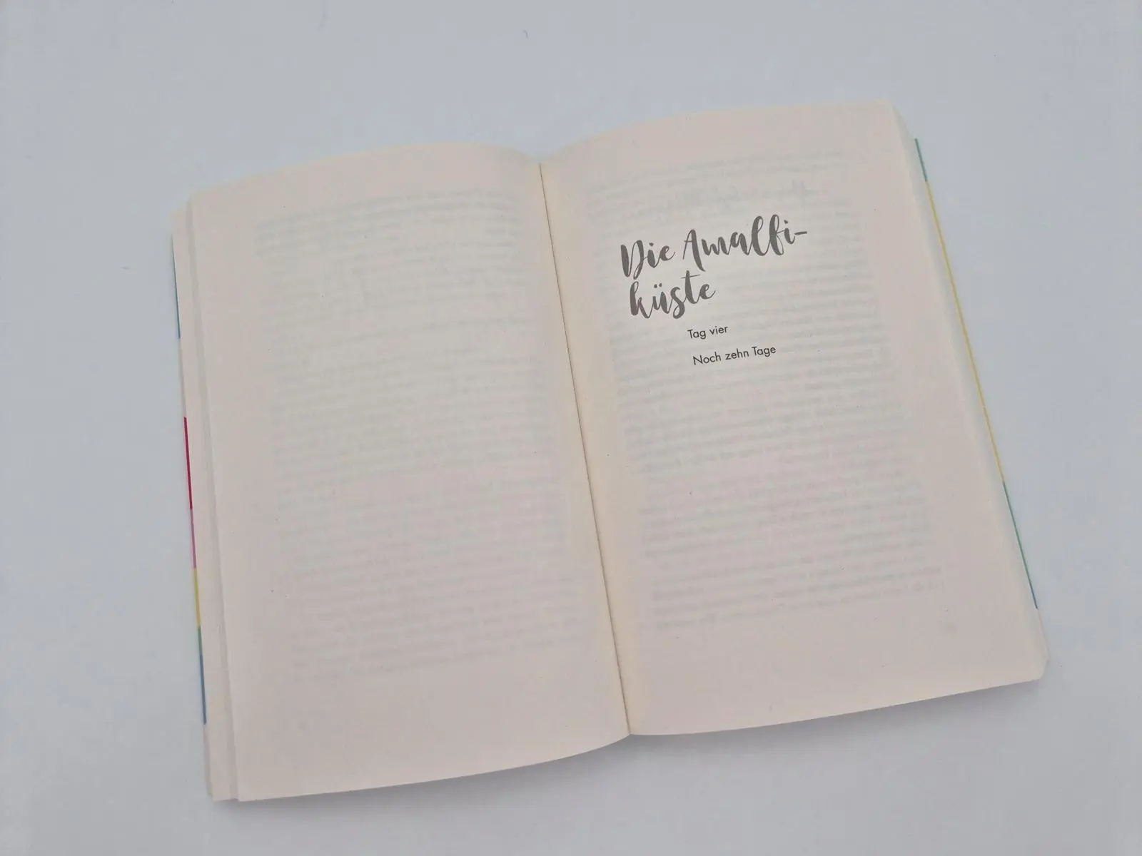 Bild: 9783492064293 | Freundschaft ist wie Liebe mit Verstand  | Alexandra Potter | Buch