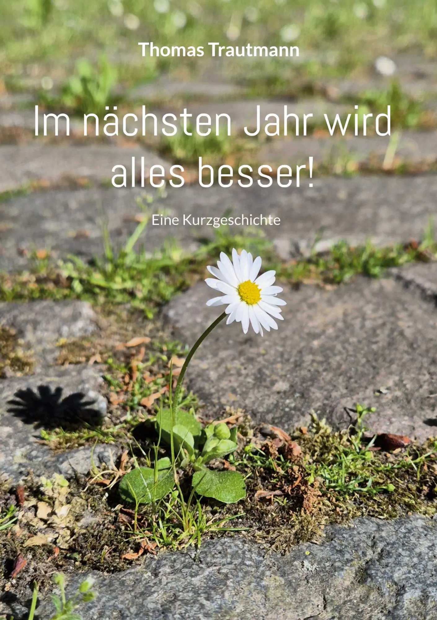Cover: 9783695184293 | Im nächsten Jahr wird alles besser! | Thomas Trautmann | Taschenbuch