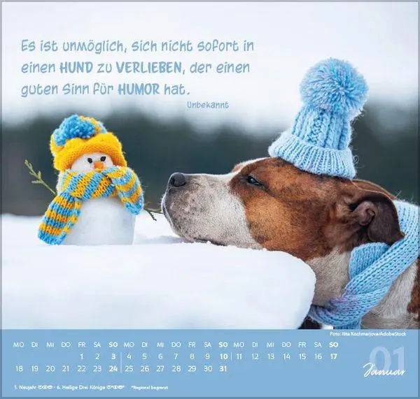 Bild: 9783819304293 | Für Hundeliebhaber 2027 | Verlag Korsch | Kalender | 1 S. | Deutsch