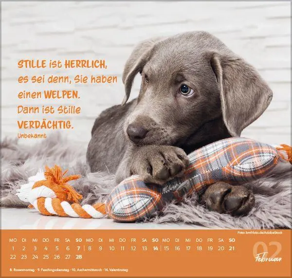 Bild: 9783819304293 | Für Hundeliebhaber 2027 | Verlag Korsch | Kalender | 1 S. | Deutsch