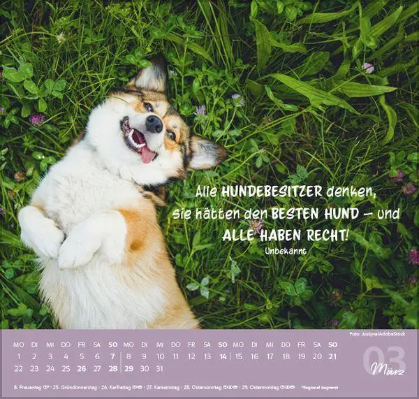 Bild: 9783819304293 | Für Hundeliebhaber 2027 | Verlag Korsch | Kalender | 1 S. | Deutsch