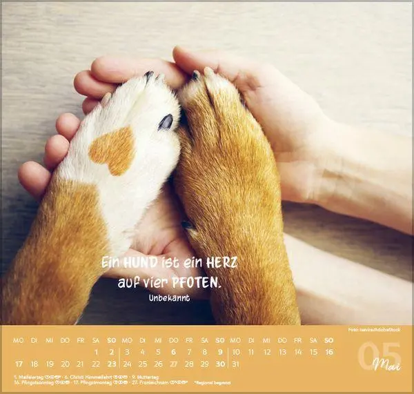 Bild: 9783819304293 | Für Hundeliebhaber 2027 | Verlag Korsch | Kalender | 1 S. | Deutsch