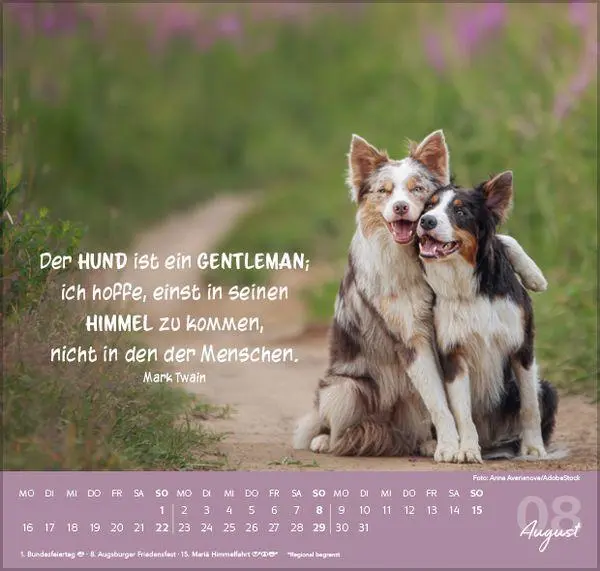 Bild: 9783819304293 | Für Hundeliebhaber 2027 | Verlag Korsch | Kalender | 1 S. | Deutsch