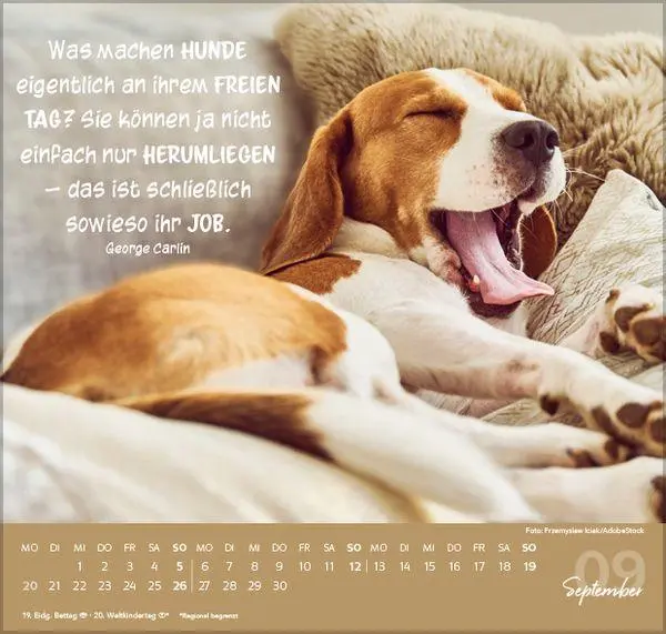 Bild: 9783819304293 | Für Hundeliebhaber 2027 | Verlag Korsch | Kalender | 1 S. | Deutsch