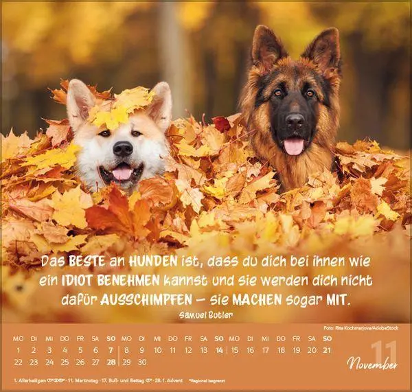Bild: 9783819304293 | Für Hundeliebhaber 2027 | Verlag Korsch | Kalender | 1 S. | Deutsch