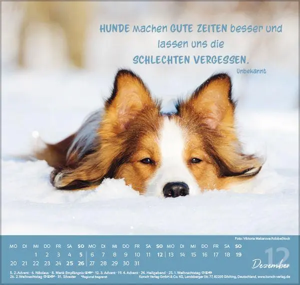 Bild: 9783819304293 | Für Hundeliebhaber 2027 | Verlag Korsch | Kalender | 1 S. | Deutsch