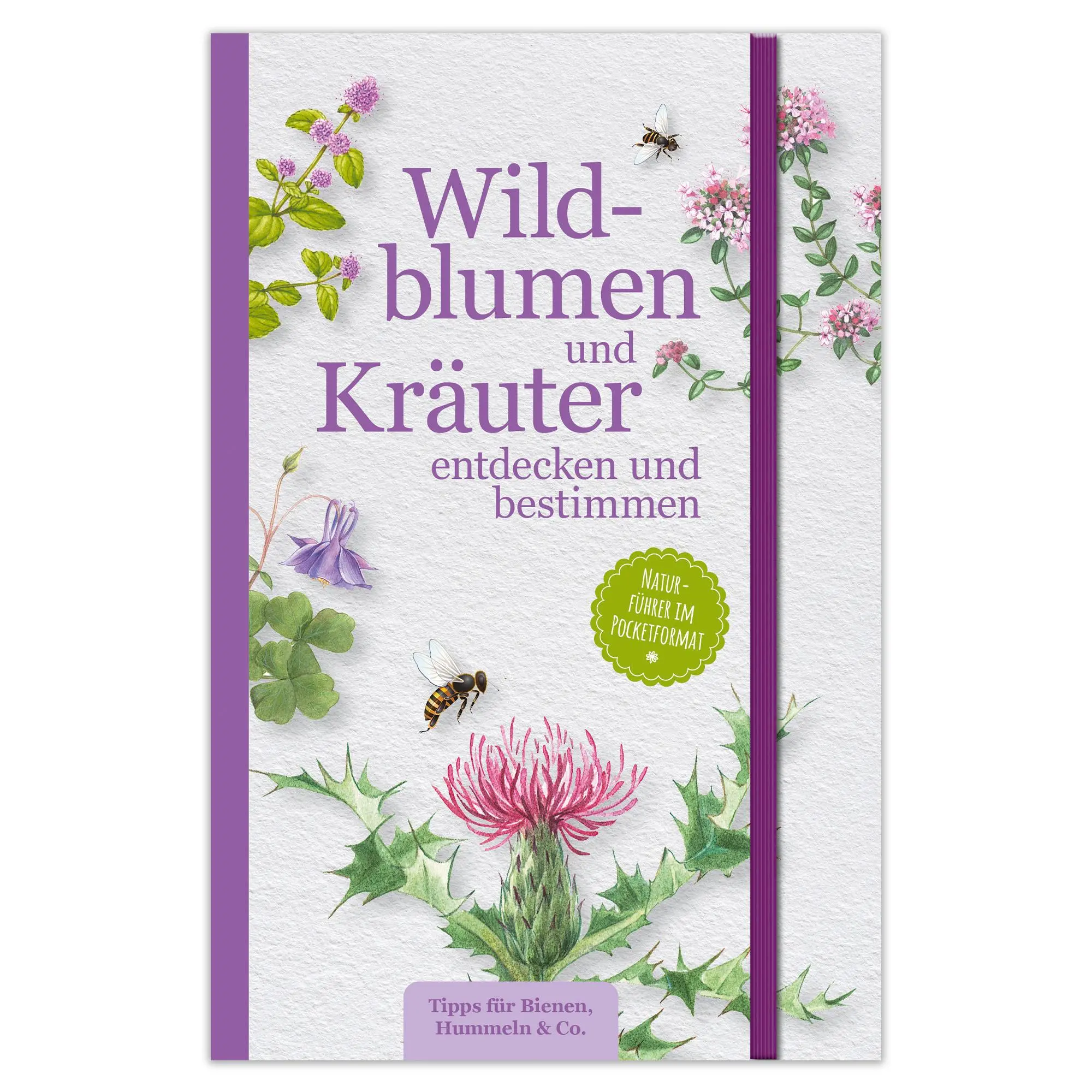 Cover: 9783963474293 | Wildblumen und Kräuter entdecken und bestimmen | Taschenbuch | 128 S.