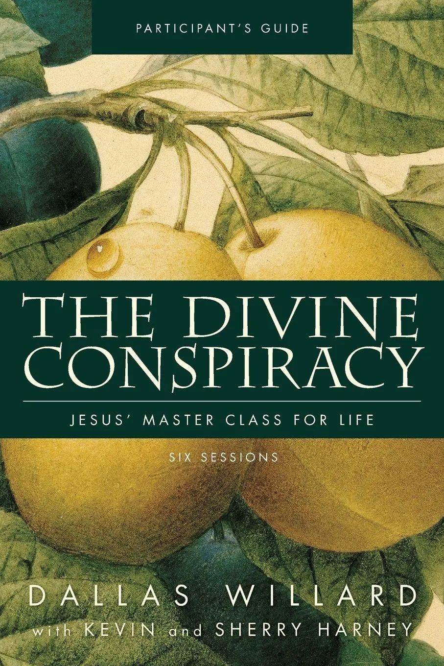 Cover: 9780310324393 | The Divine Conspiracy Bible Study Participant's Guide | Dallas Willard