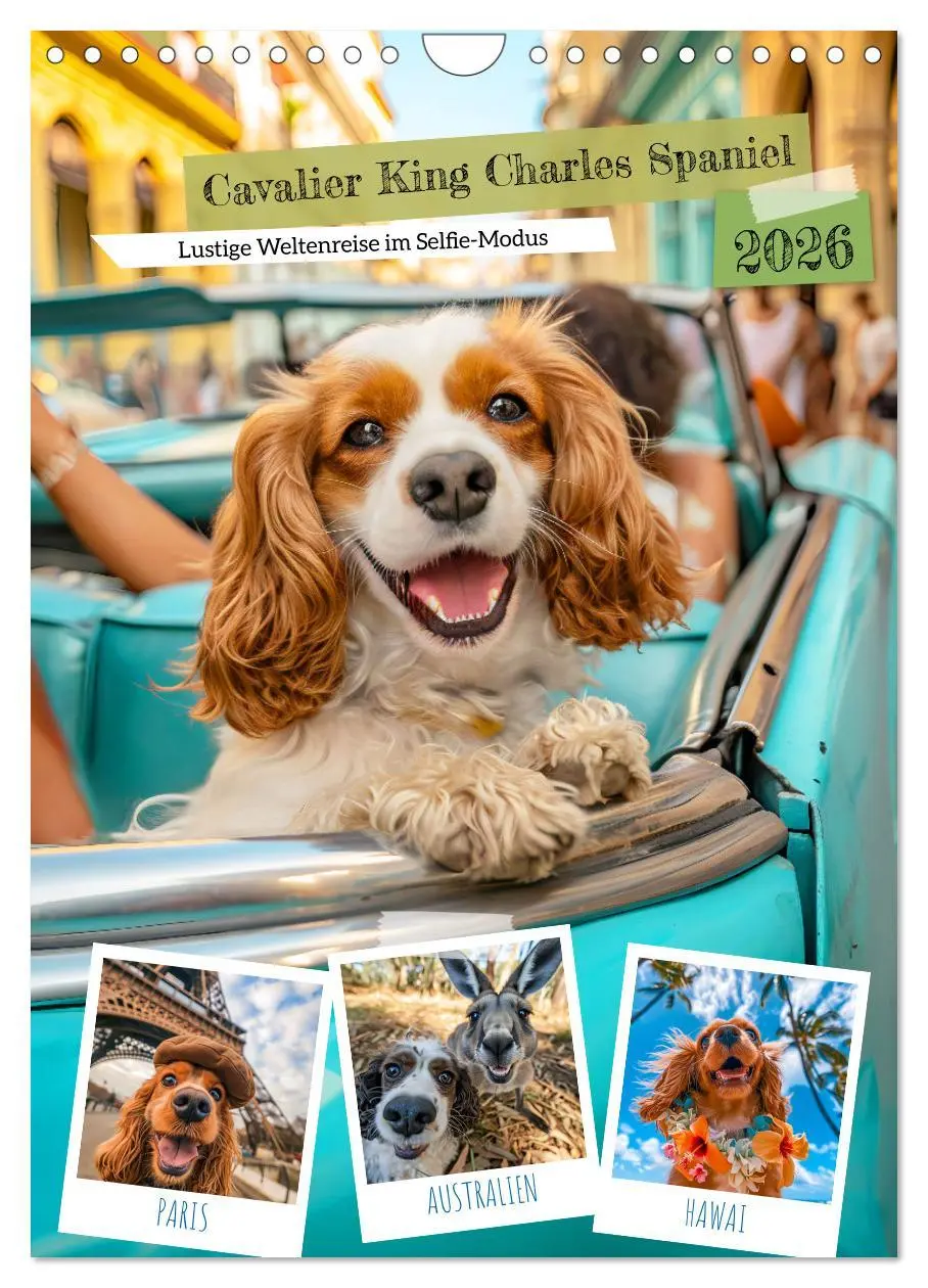 Cover: 9783516284393 | Cavalier King Charles Spaniel - Lustige Weltenreise im Selfie-Modus...