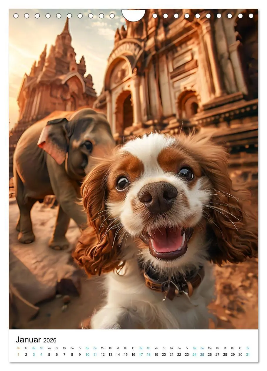 Bild: 9783516284393 | Cavalier King Charles Spaniel - Lustige Weltenreise im Selfie-Modus...