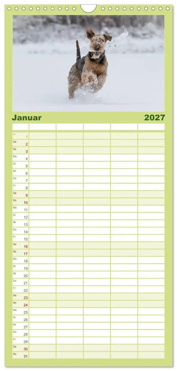 Bild: 9783594334393 | Familienplaner 2027 - Airedale-Terrier, was sonst! mit 5 Spalten...