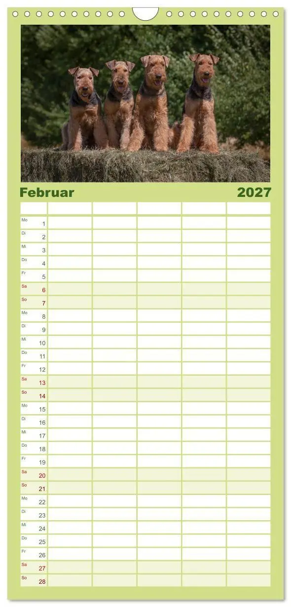 Bild: 9783594334393 | Familienplaner 2027 - Airedale-Terrier, was sonst! mit 5 Spalten...