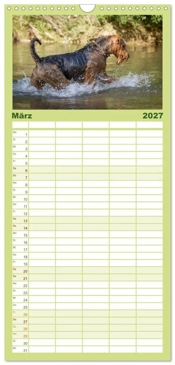 Bild: 9783594334393 | Familienplaner 2027 - Airedale-Terrier, was sonst! mit 5 Spalten...