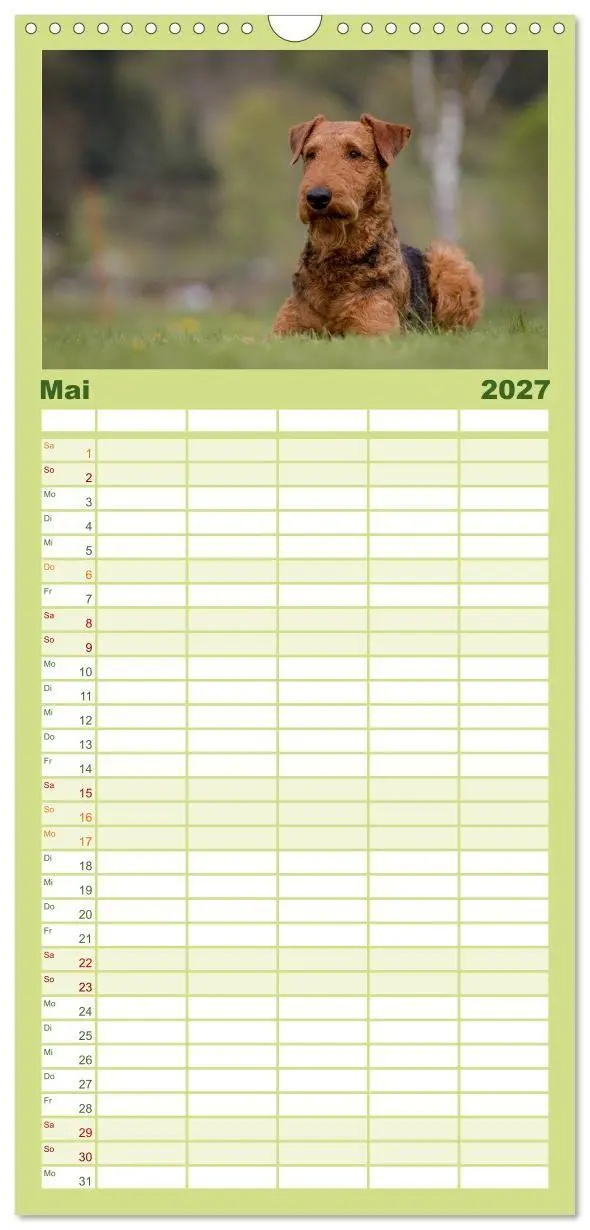Bild: 9783594334393 | Familienplaner 2027 - Airedale-Terrier, was sonst! mit 5 Spalten...