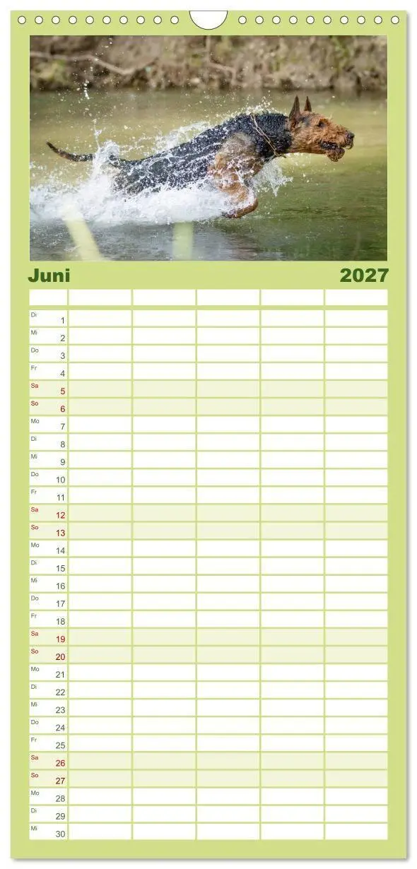 Bild: 9783594334393 | Familienplaner 2027 - Airedale-Terrier, was sonst! mit 5 Spalten...