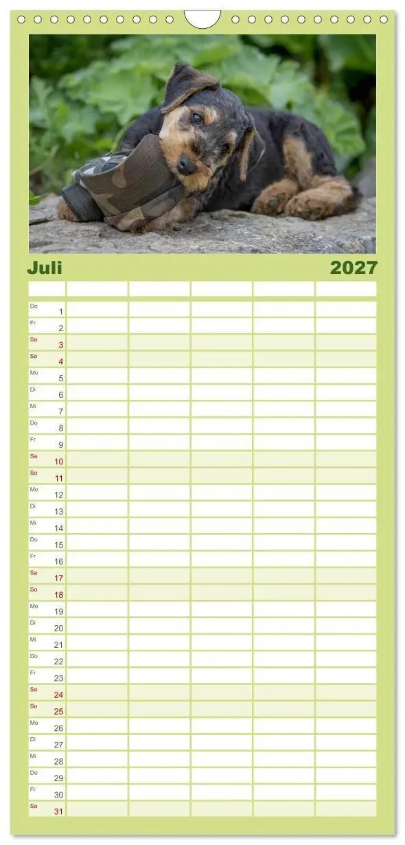 Bild: 9783594334393 | Familienplaner 2027 - Airedale-Terrier, was sonst! mit 5 Spalten...