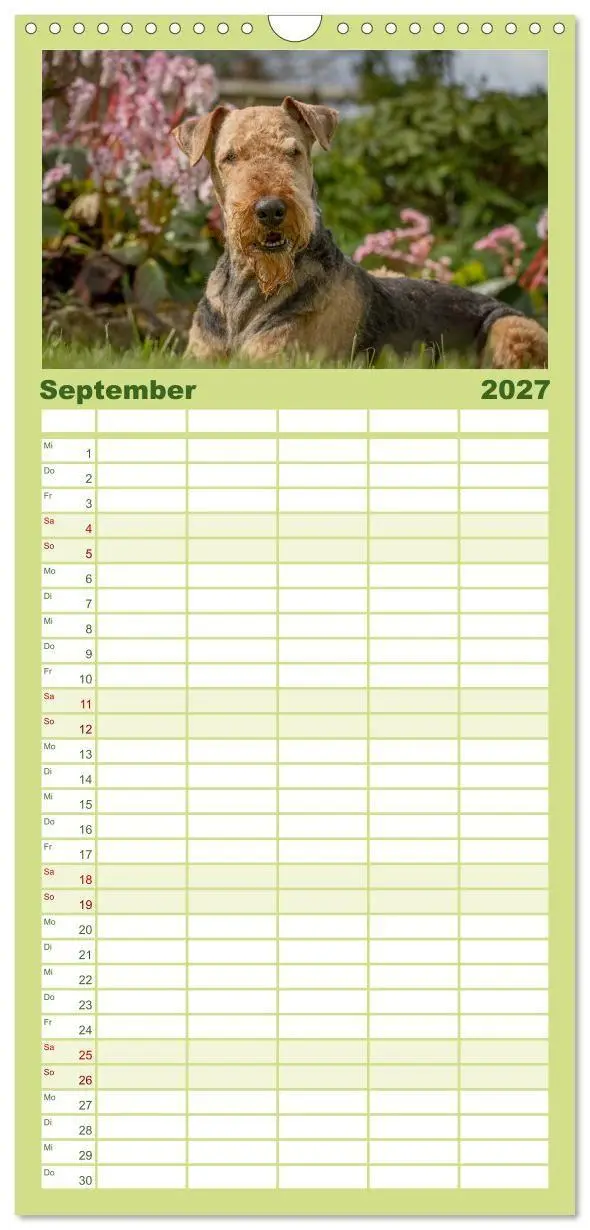 Bild: 9783594334393 | Familienplaner 2027 - Airedale-Terrier, was sonst! mit 5 Spalten...