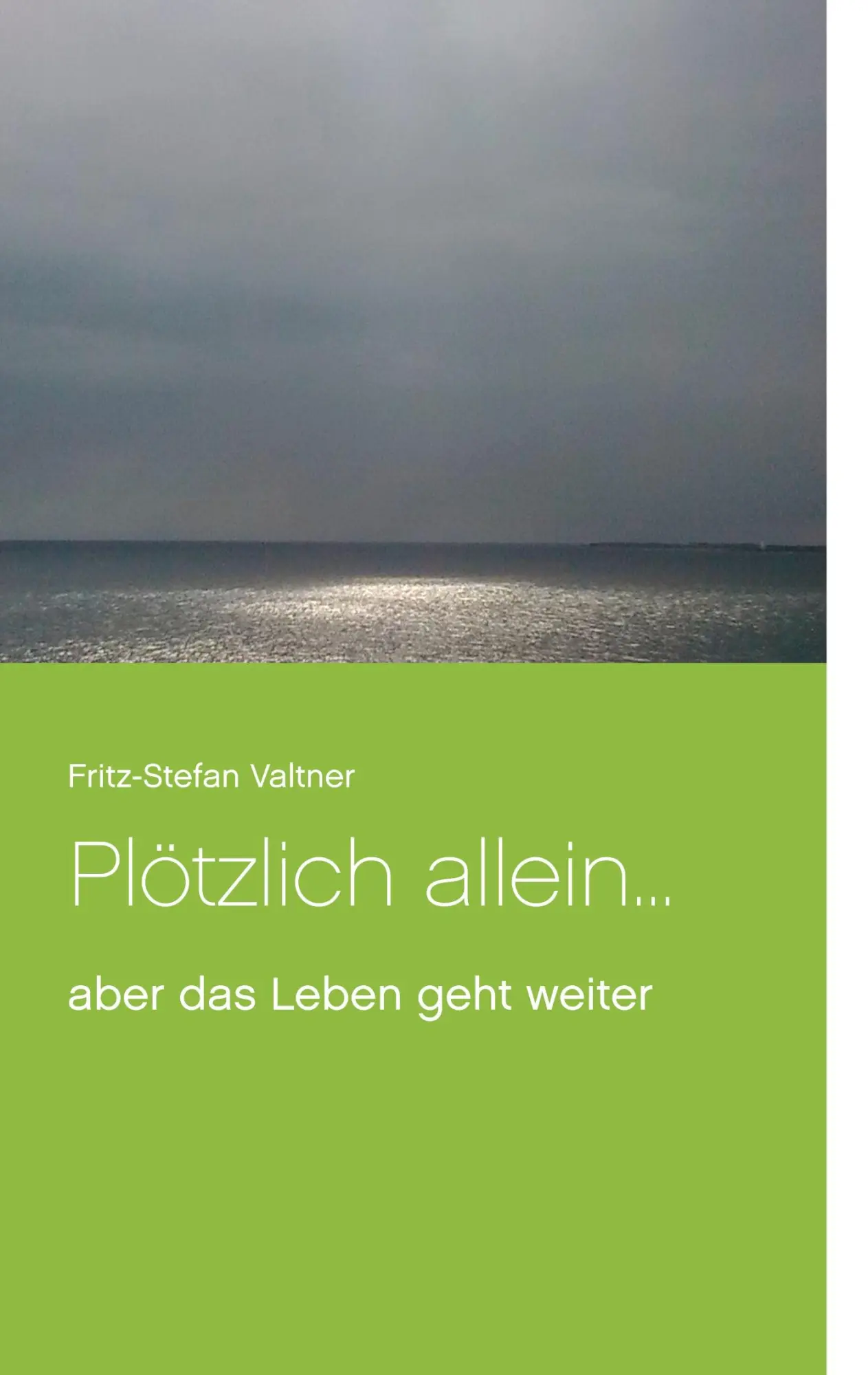 Cover: 9783746034393 | Plötzlich allein ... | aber das Leben geht weiter | Valtner | Buch
