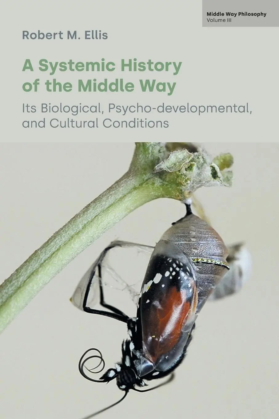 Cover: 9781800504493 | A Systemic History of the Middle Way | Robert M. Ellis | Taschenbuch