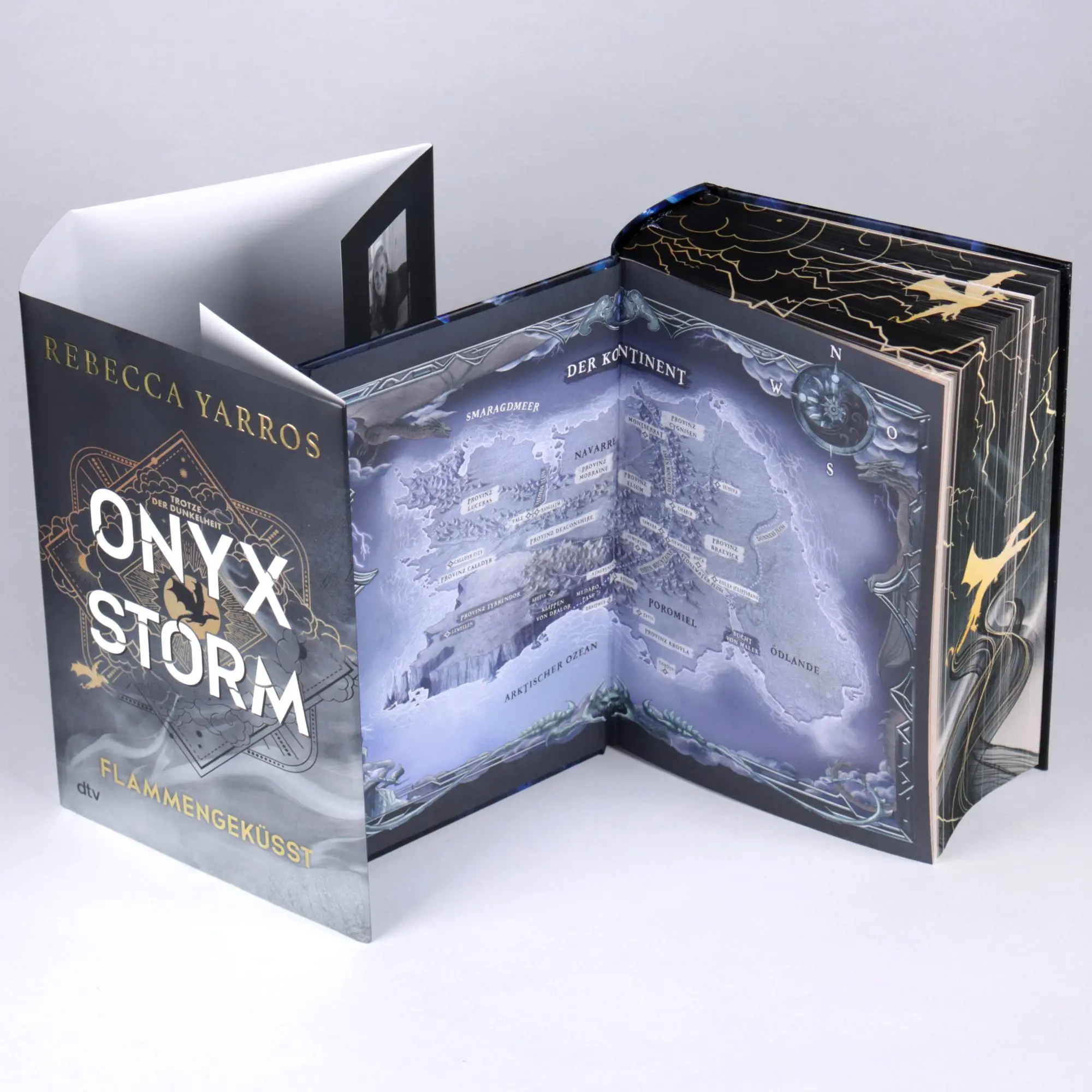 Bild: 9783423284493 | Onyx Storm - Flammengeküsst | Rebecca Yarros | Buch | Fourth Wing