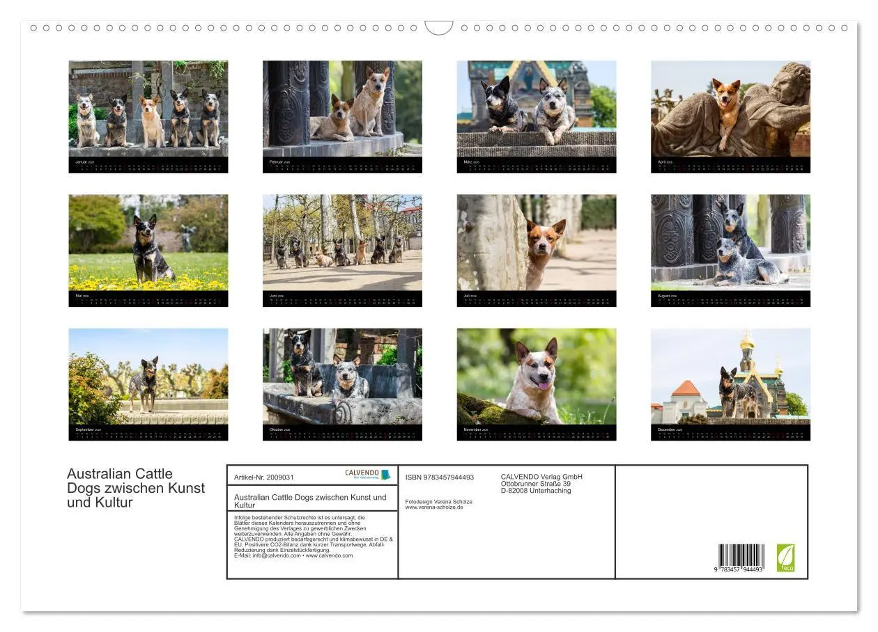 Bild: 9783457944493 | Australian Cattle Dogs zwischen Kunst und Kultur (Wandkalender 2026...