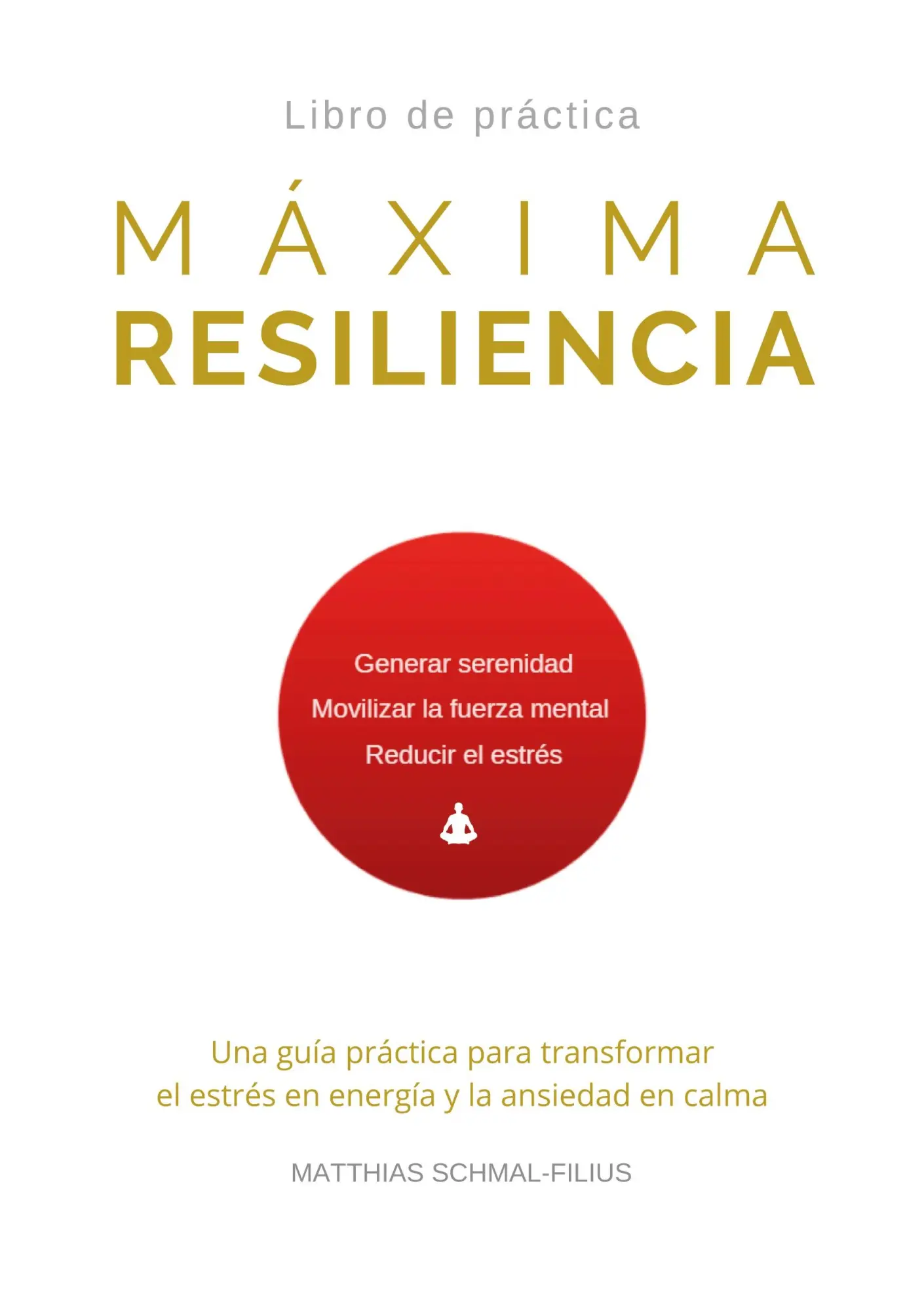 Cover: 9788413264493 | Máxima Resiliencia | Matthias Schmal-Filius | Taschenbuch | Spanisch
