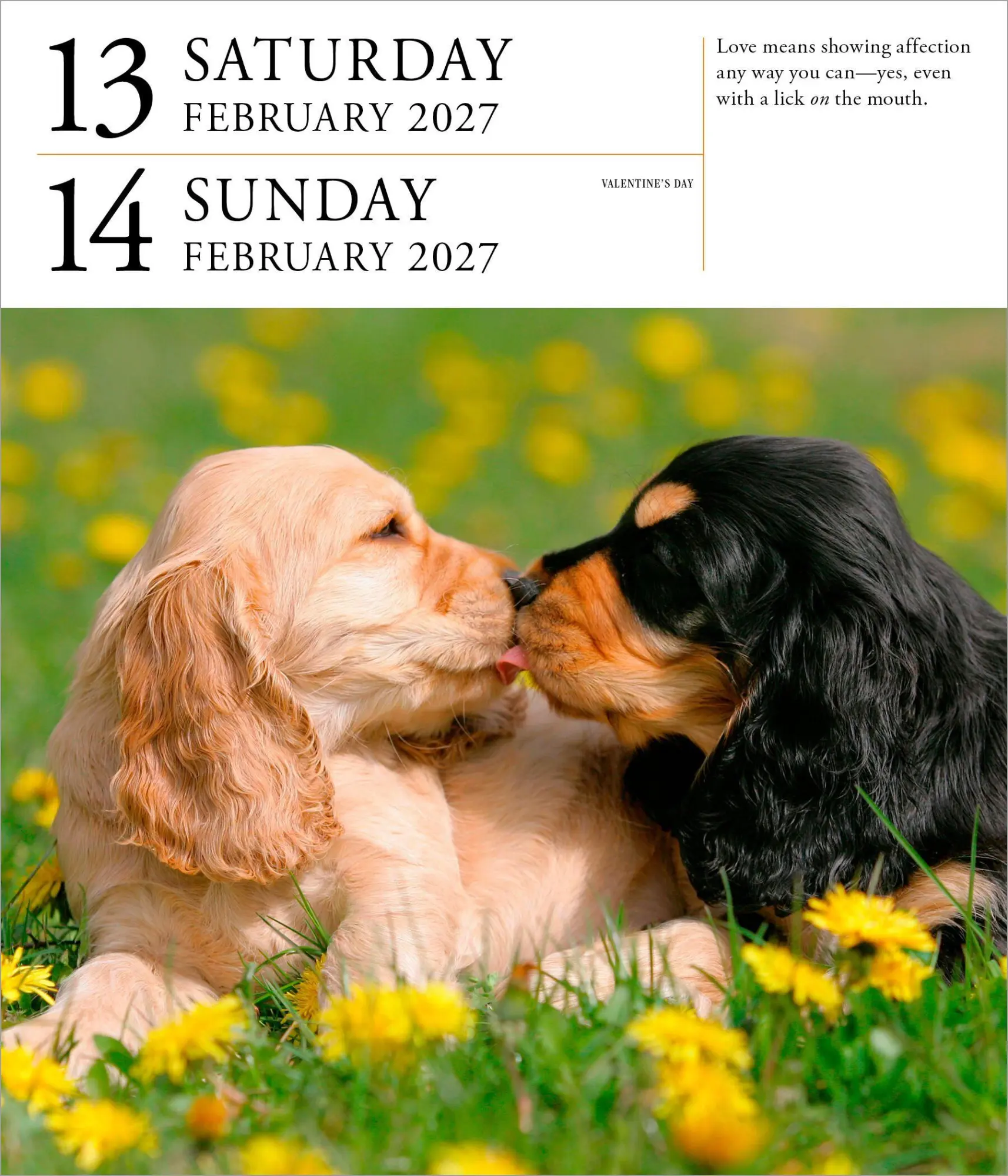 Bild: 9781523534593 | Dog Page-A-Day® Gallery Calendar Refill Pack 2027 | Workman Calendars