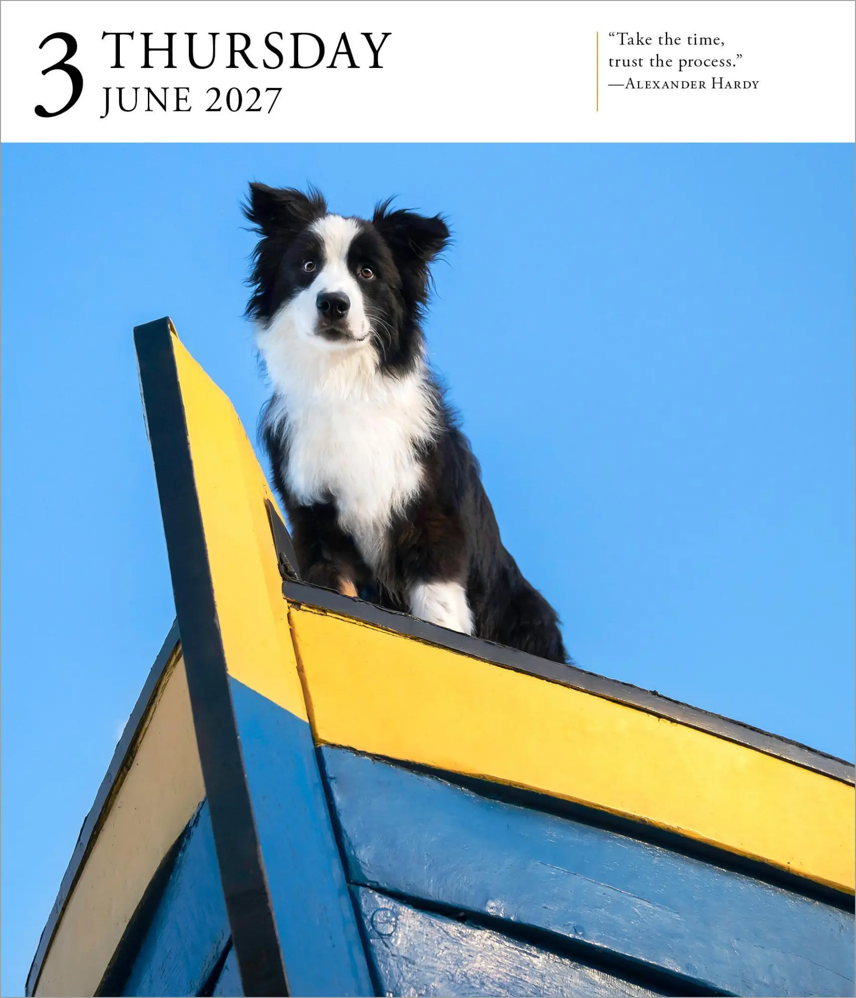 Bild: 9781523534593 | Dog Page-A-Day® Gallery Calendar Refill Pack 2027 | Workman Calendars