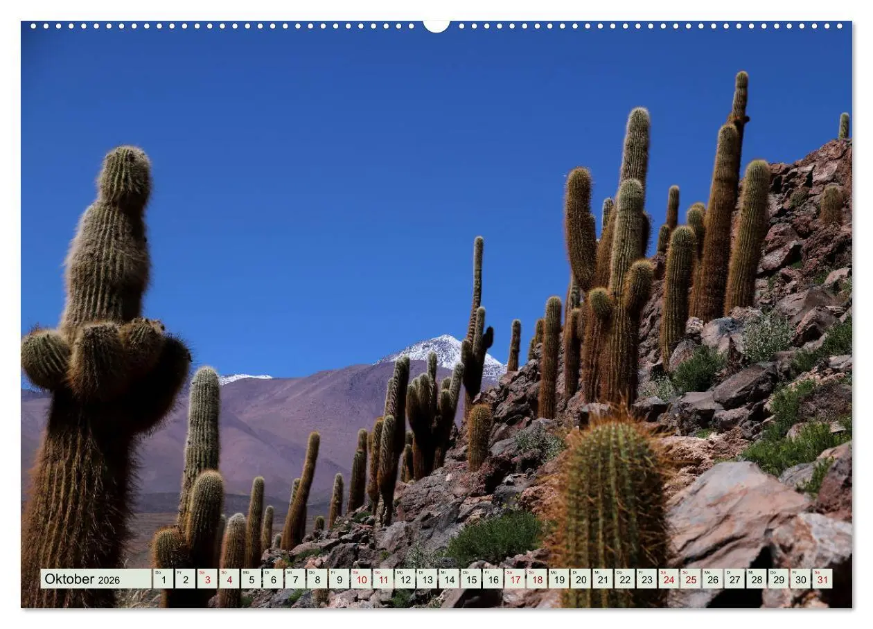 Bild: 9783457794593 | ATACAMA Wunder der Natur (Wandkalender 2026 DIN A2 quer), CALVENDO...