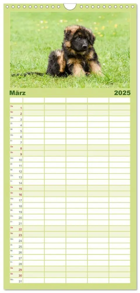 Bild: 9783457094693 | Familienplaner 2025 - Langstockhaar - Schäferhund - Babys mit 5...