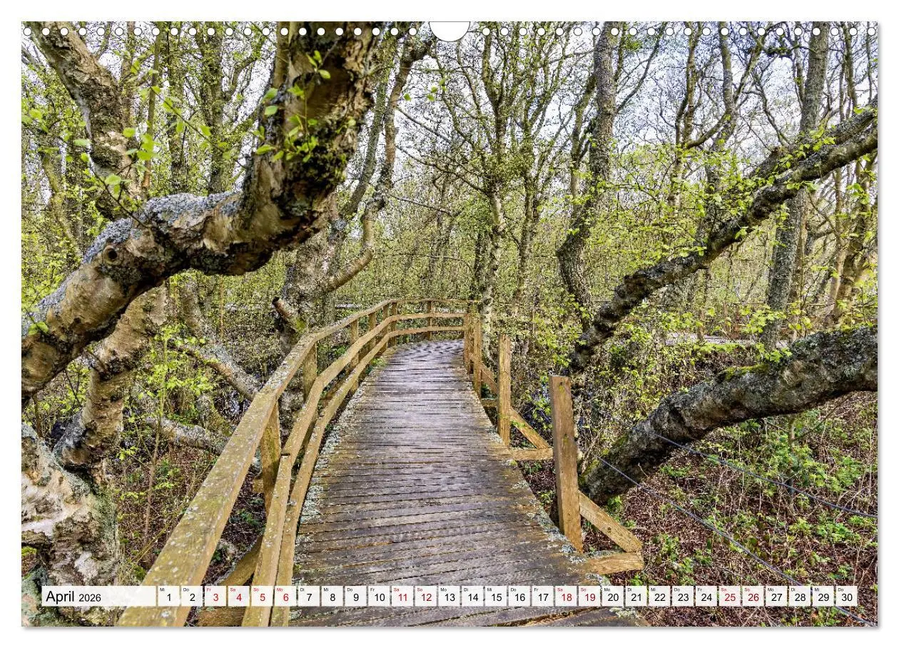 Bild: 9783457304693 | Inselbilder Amrum (Wandkalender 2026 DIN A3 quer), CALVENDO...