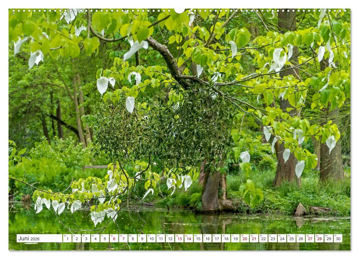 Bild: 9783457544693 | Rhein-Erft-Kreis - Burgen, Schlösser und mehr (Wandkalender 2026...