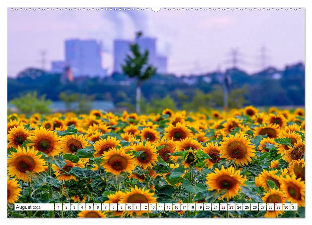 Bild: 9783457544693 | Rhein-Erft-Kreis - Burgen, Schlösser und mehr (Wandkalender 2026...